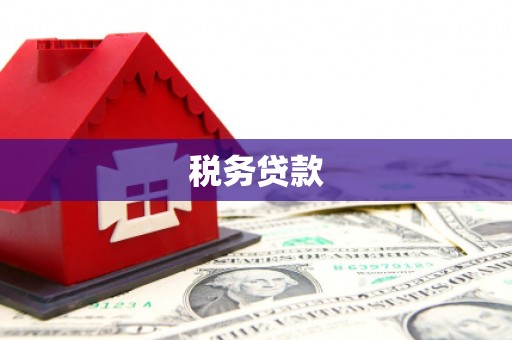 和县税务贷款