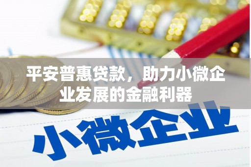 和县平安普惠贷款，助力小微企业发展的金融利器