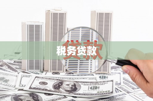 和县税务贷款