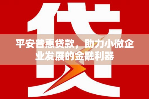 和县平安普惠贷款，助力小微企业发展的金融利器
