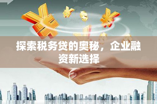 和县探索税务贷的奥秘，企业融资新选择