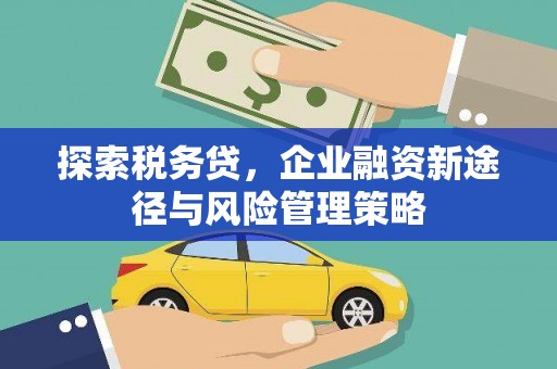 和县探索税务贷，企业融资新途径与风险管理策略