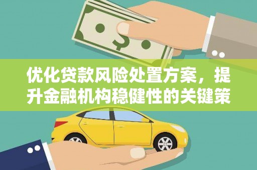 和县优化贷款风险处置方案，提升金融机构稳健性的关键策略