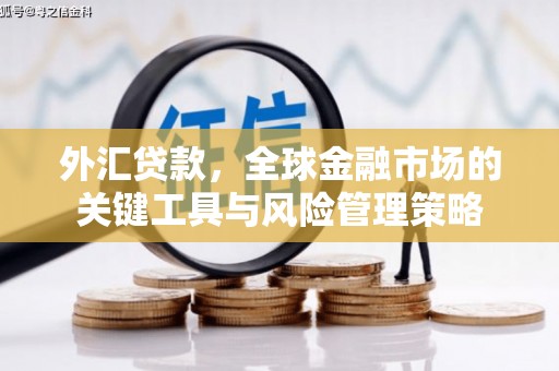 和县外汇贷款，全球金融市场的关键工具与风险管理策略