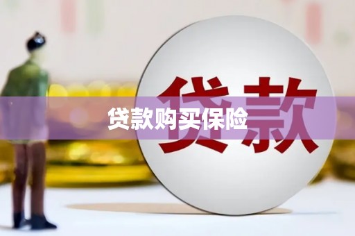 和县贷款购买保险