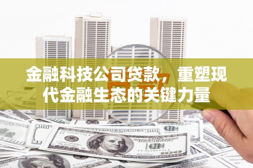 和县金融科技公司贷款，重塑现代金融生态的关键力量