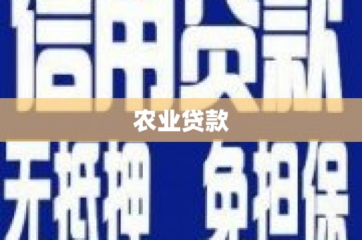 和县农业贷款