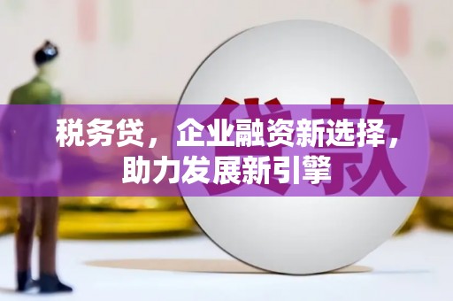 和县税务贷，企业融资新选择，助力发展新引擎