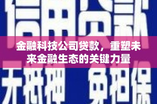 和县金融科技公司贷款，重塑未来金融生态的关键力量
