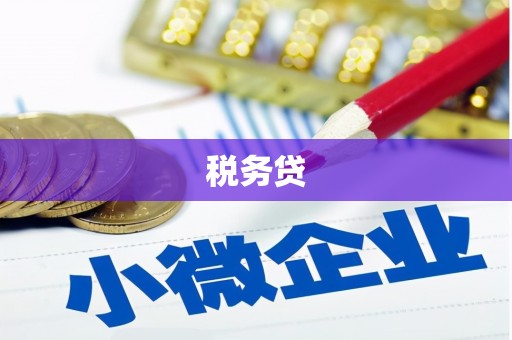 和县税务贷