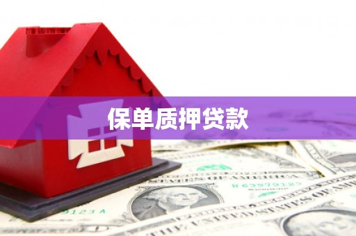 和县保单质押贷款