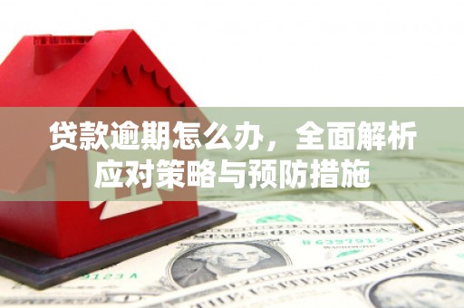 和县贷款逾期怎么办，全面解析应对策略与预防措施