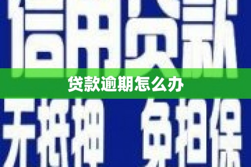 和县贷款逾期怎么办
