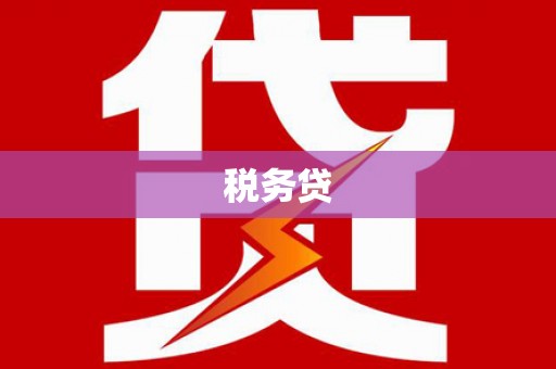 和县税务贷
