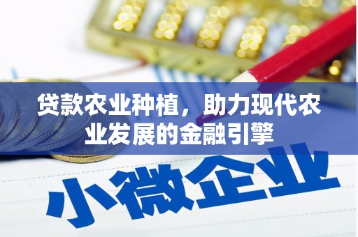 和县贷款农业种植，助力现代农业发展的金融引擎