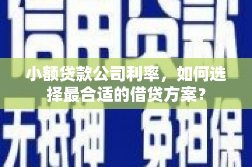 和县小额贷款公司利率，如何选择最合适的借贷方案？