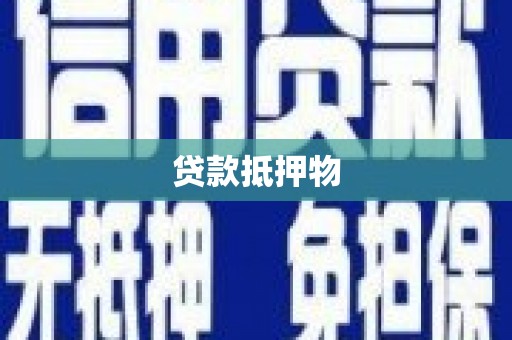 和县贷款抵押物