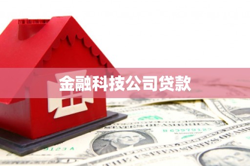 和县金融科技公司贷款