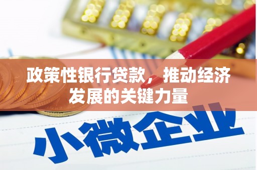 和县政策性银行贷款，推动经济发展的关键力量