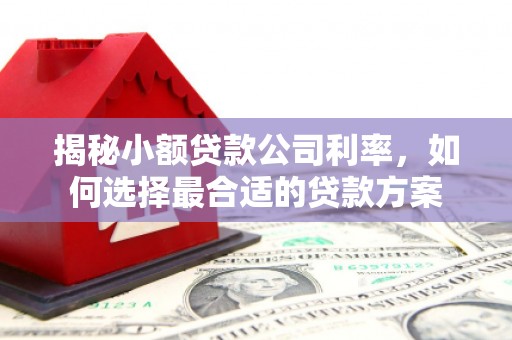 和县揭秘小额贷款公司利率，如何选择最合适的贷款方案
