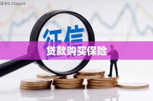 和县贷款购买保险