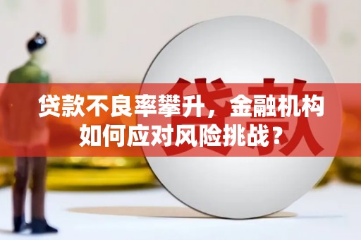 和县贷款不良率攀升，金融机构如何应对风险挑战？