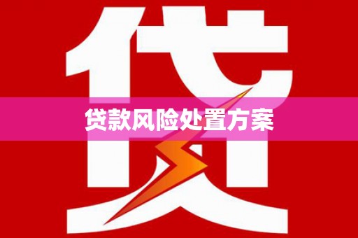 和县贷款风险处置方案