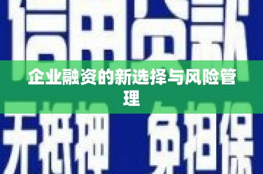 和县企业融资的新选择与风险管理
