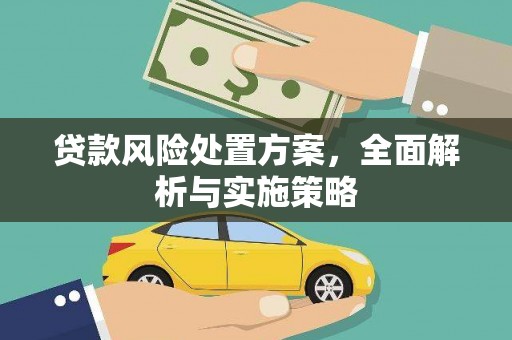 和县贷款风险处置方案，全面解析与实施策略