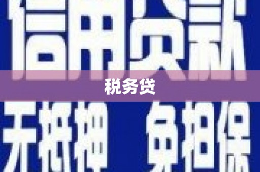 和县税务贷