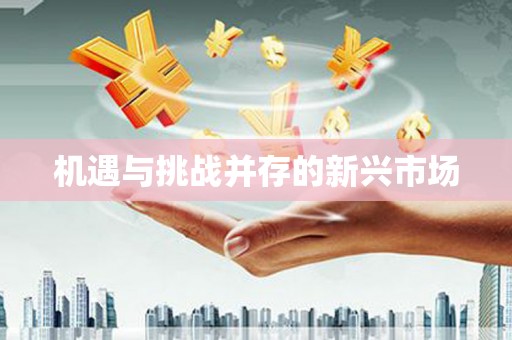 和县机遇与挑战并存的新兴市场