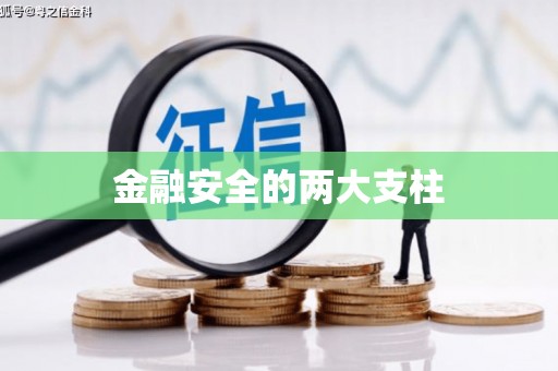 和县金融安全的两大支柱
