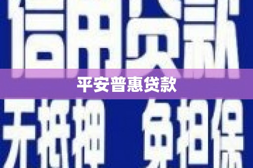 和县平安普惠贷款