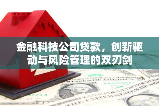 和县金融科技公司贷款，创新驱动与风险管理的双刃剑